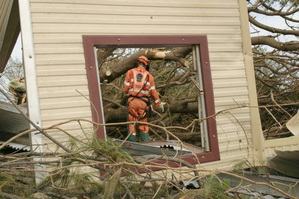 How Our Tree Care Process Works  in  Dana Point, CA